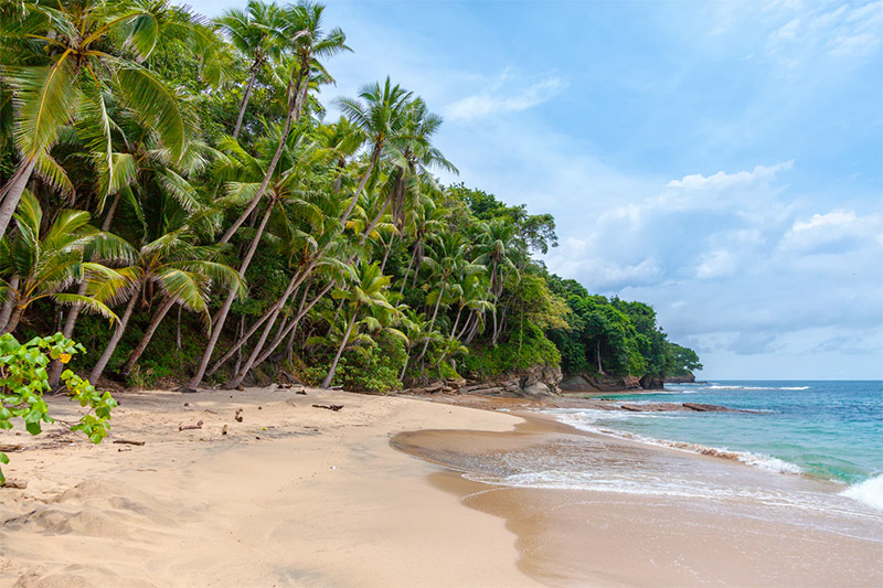 XYZ Beach