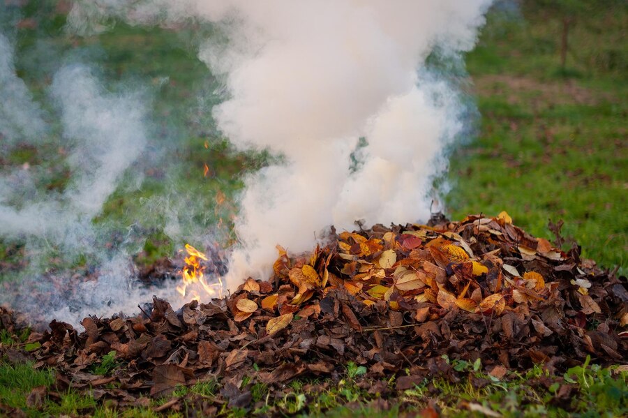 Burning Leaves on the ground